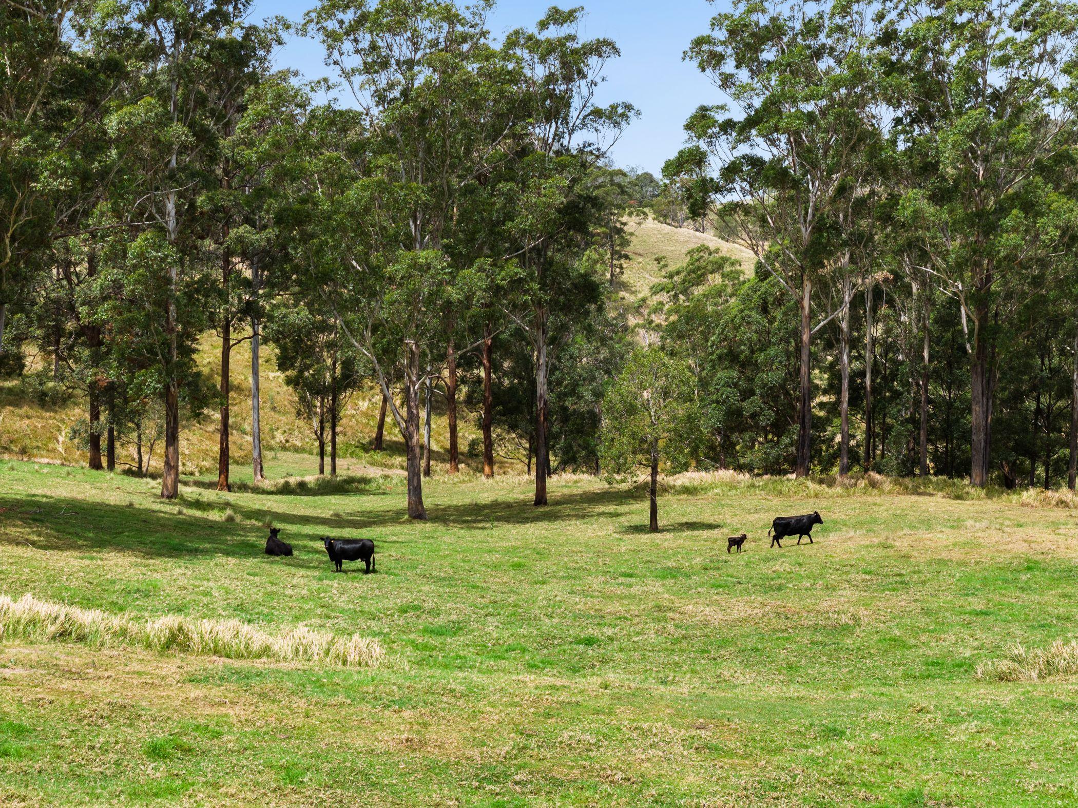 An Old Cliche We Know...But This Is The Dream Block!