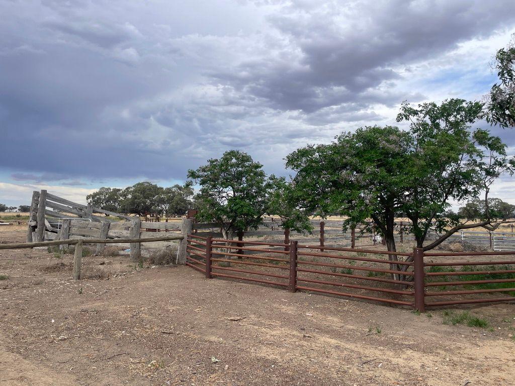 Mixed Farming Irrigation Powerhouse - 1518 Acres