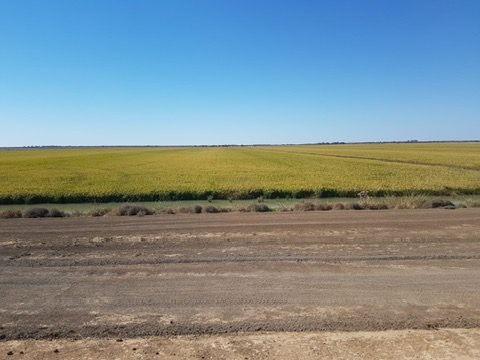 Mixed Farming Irrigation Powerhouse - 1518 Acres