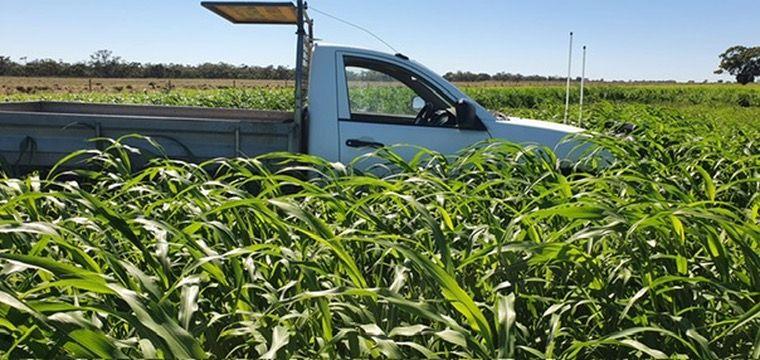 Mixed Farming Irrigation Powerhouse - 1518 Acres