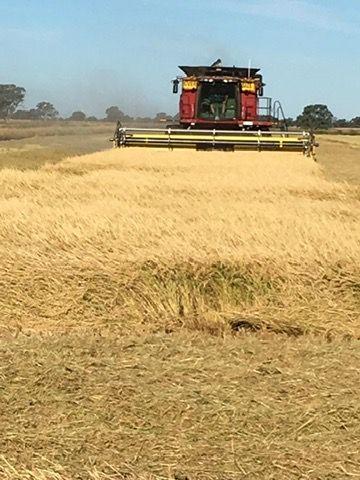 Mixed Farming Irrigation Powerhouse - 1518 Acres