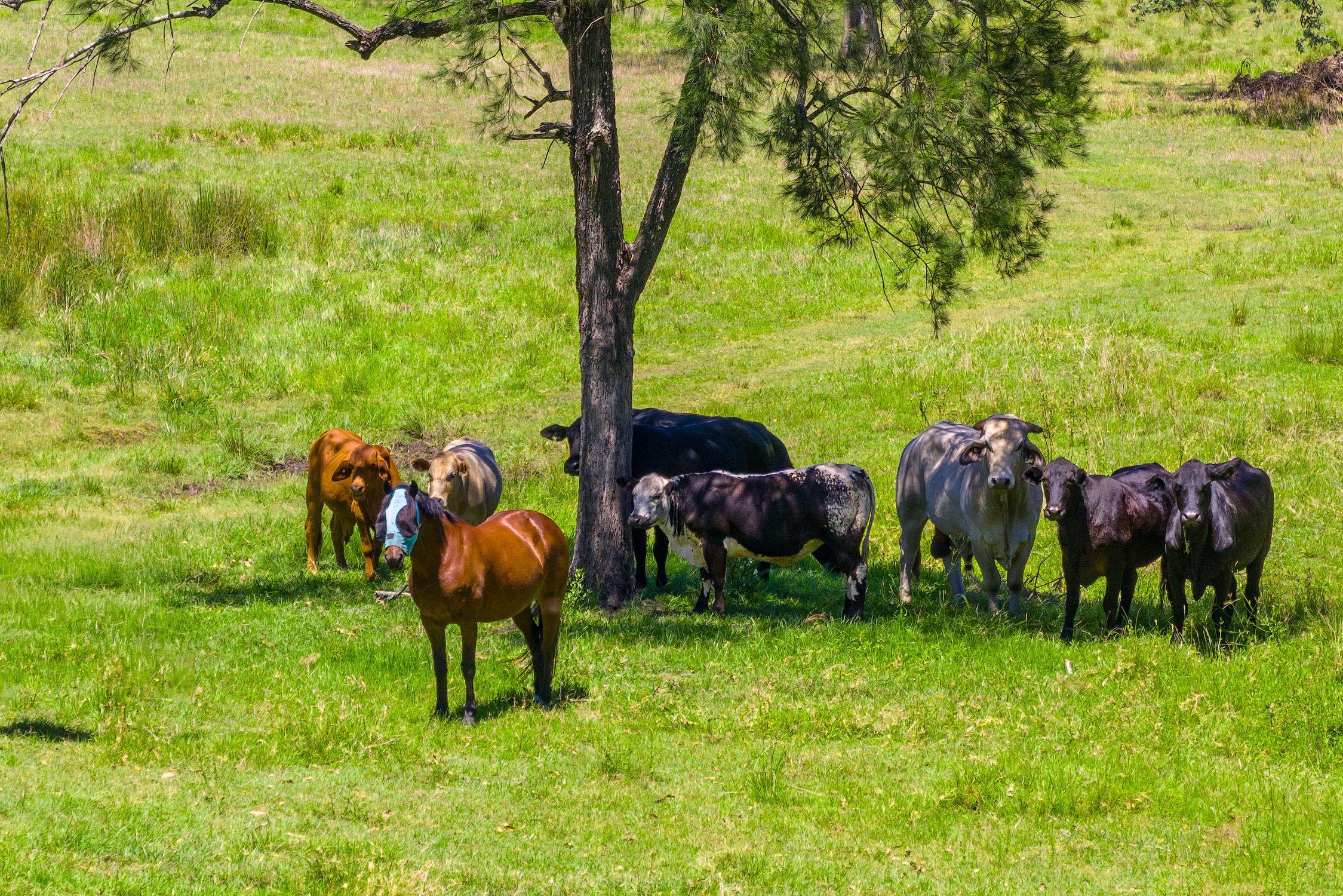 Dual Living in Prime Rural Location