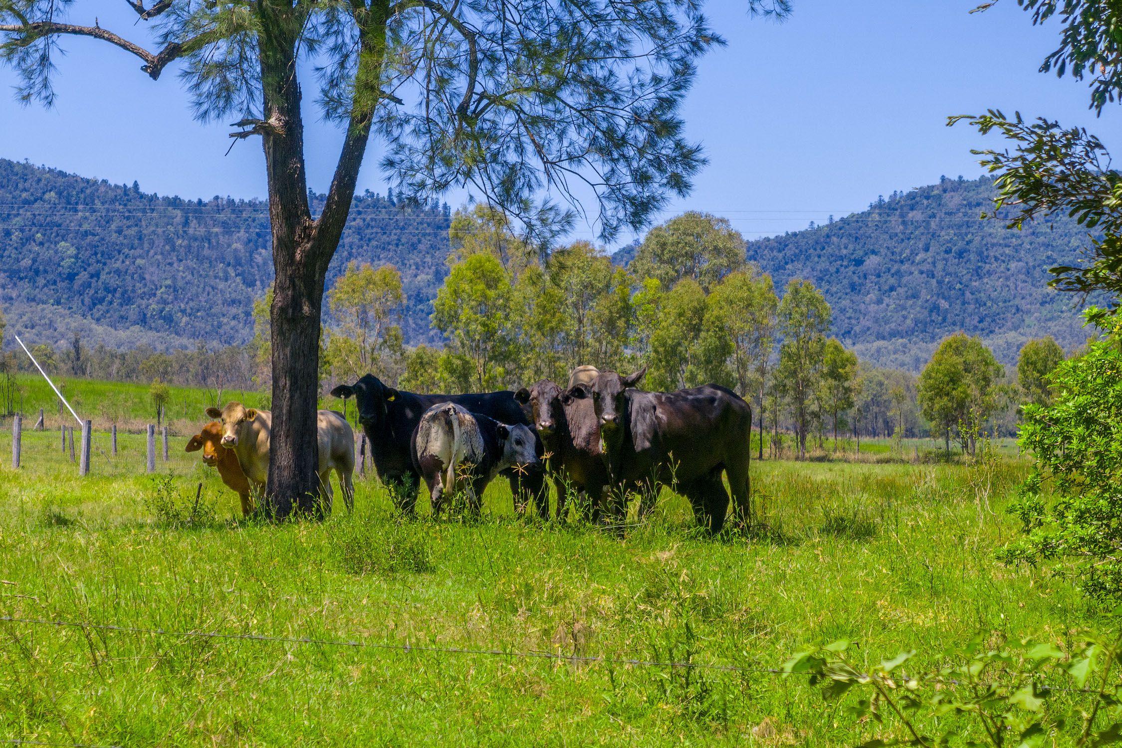 Dual Living in Prime Rural Location