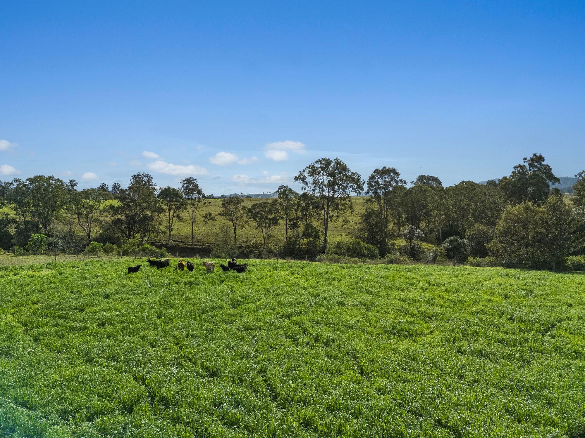 A Rare Riverfront Paradise Awaits - Welcome to Millpond Estate!