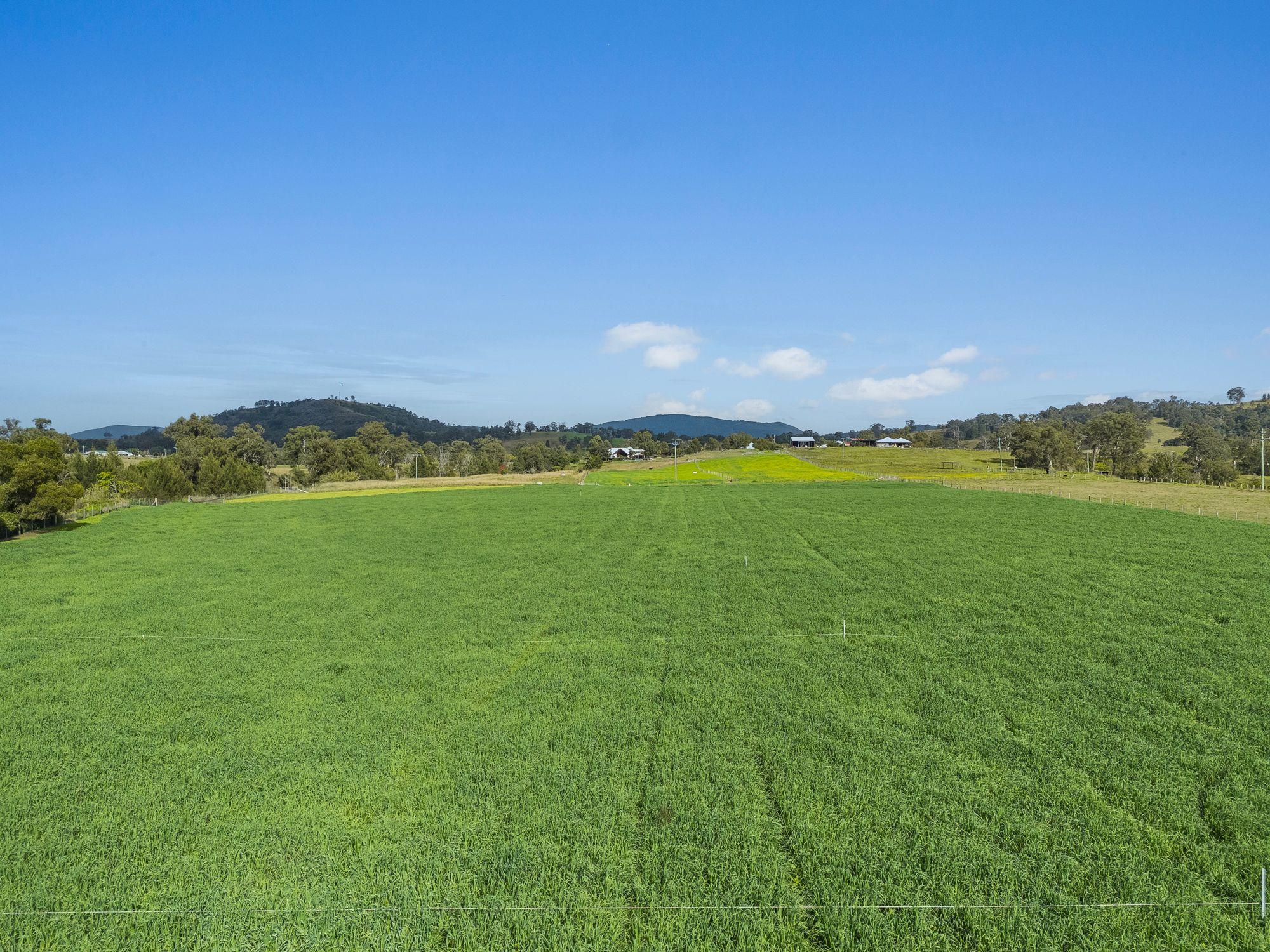 A Rare Riverfront Paradise Awaits - Welcome to Millpond Estate!