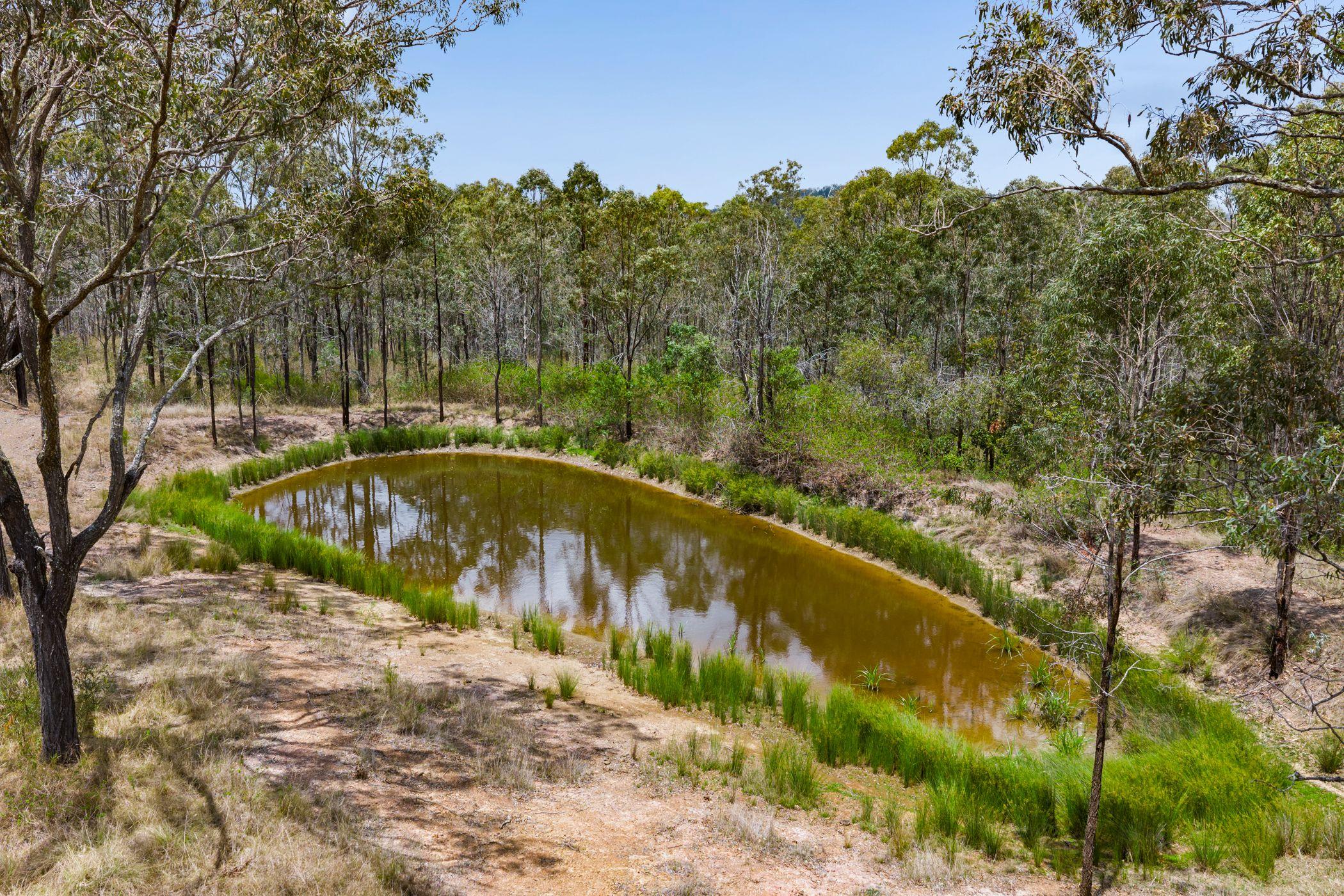 Textbook Lifestyle Opportunity