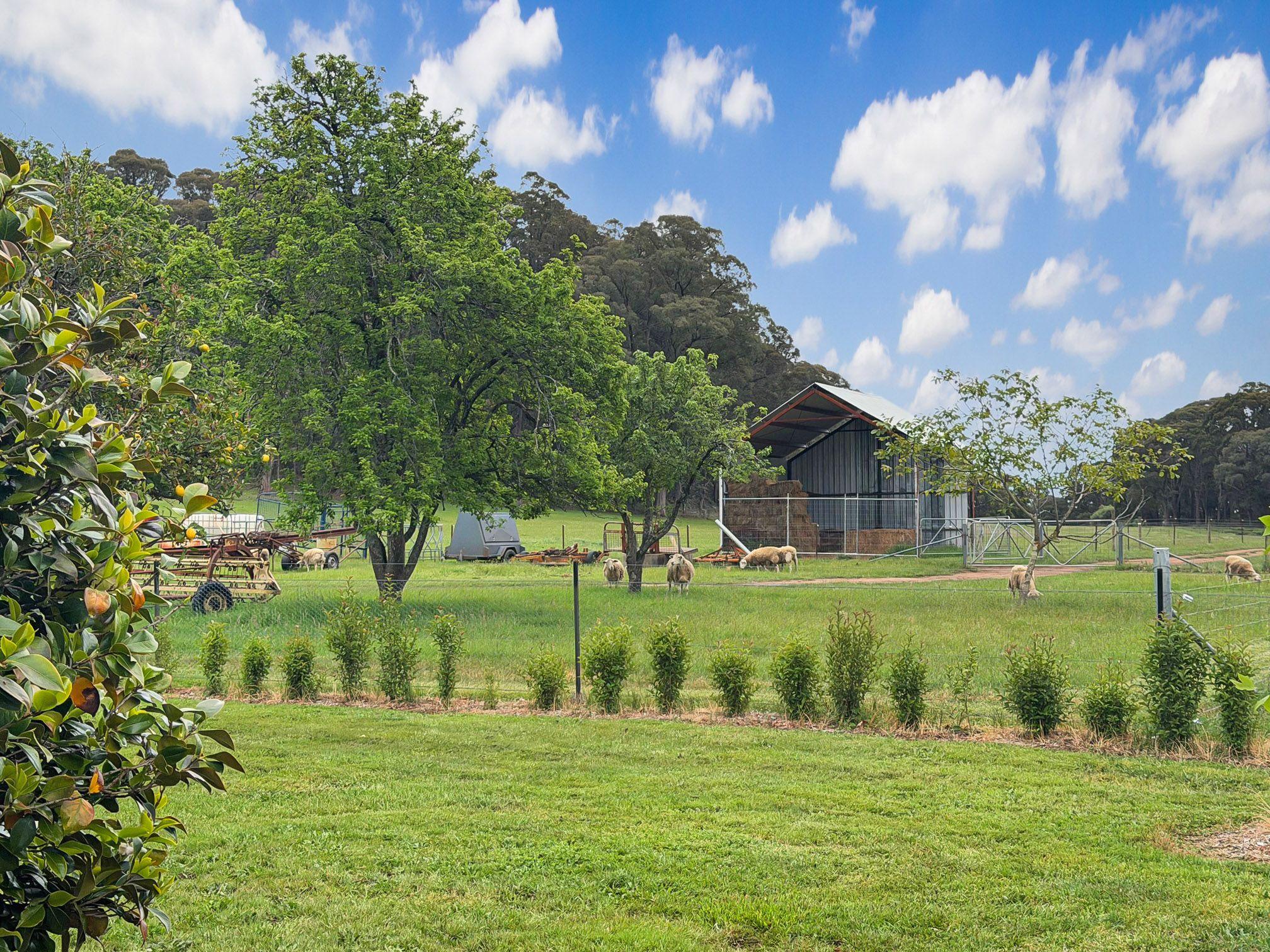 Charming Rural Cottage with Stunning Views