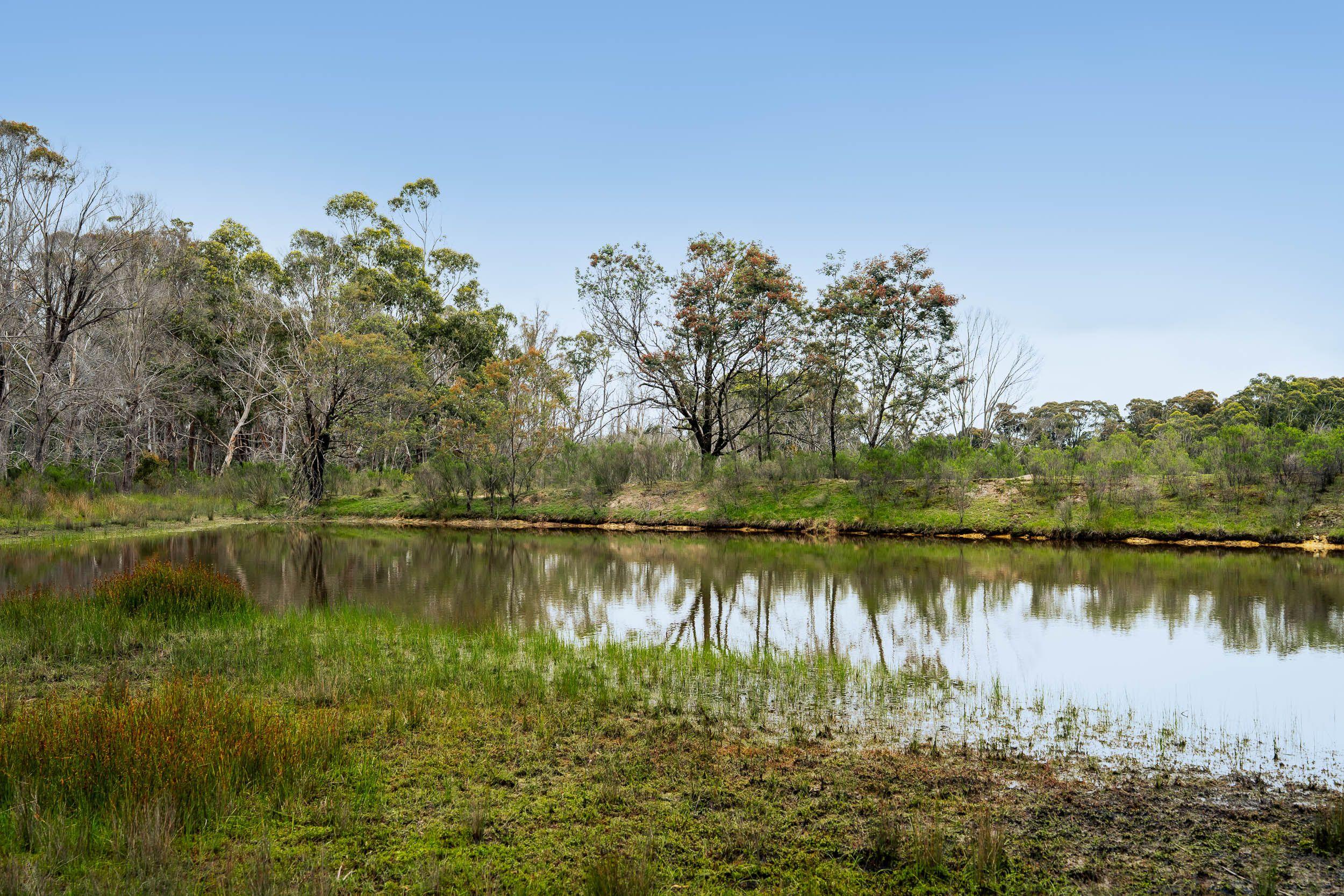 Your Own 100-Acre Escape Near Taralga