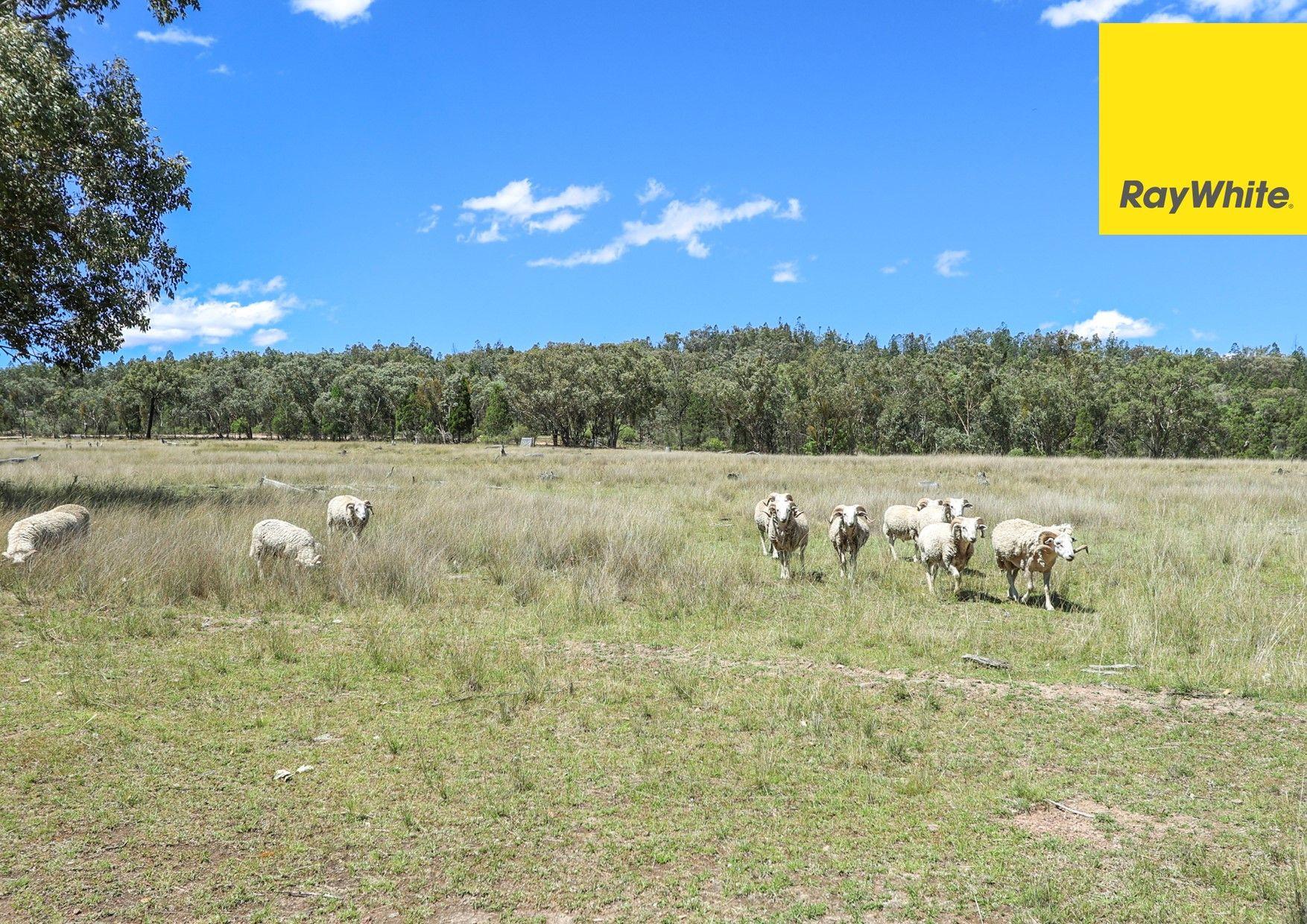 Lifestyle Acreage with Water Views