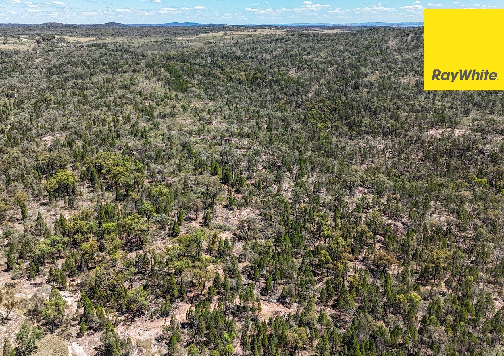 Lifestyle Acreage with Water Views