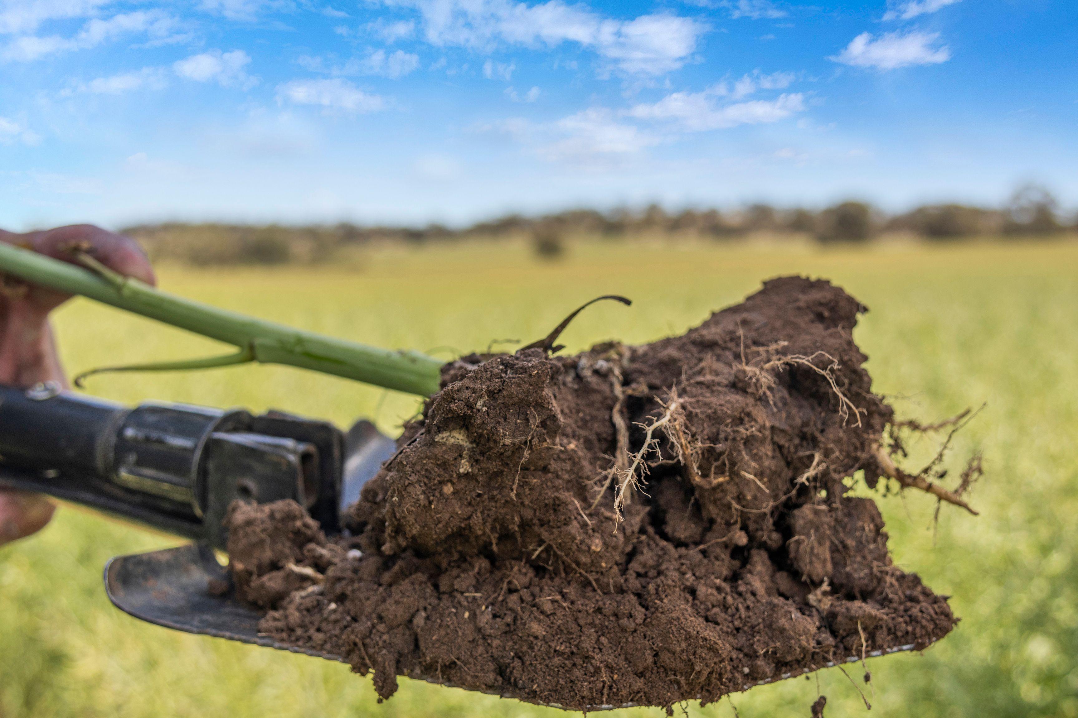 Versatile Rural Property with Fertile Soils and Lifestyle Potential Cropping | SA Undalya, SA 5451 | Prop-GPT the AI-Powered Property Portal