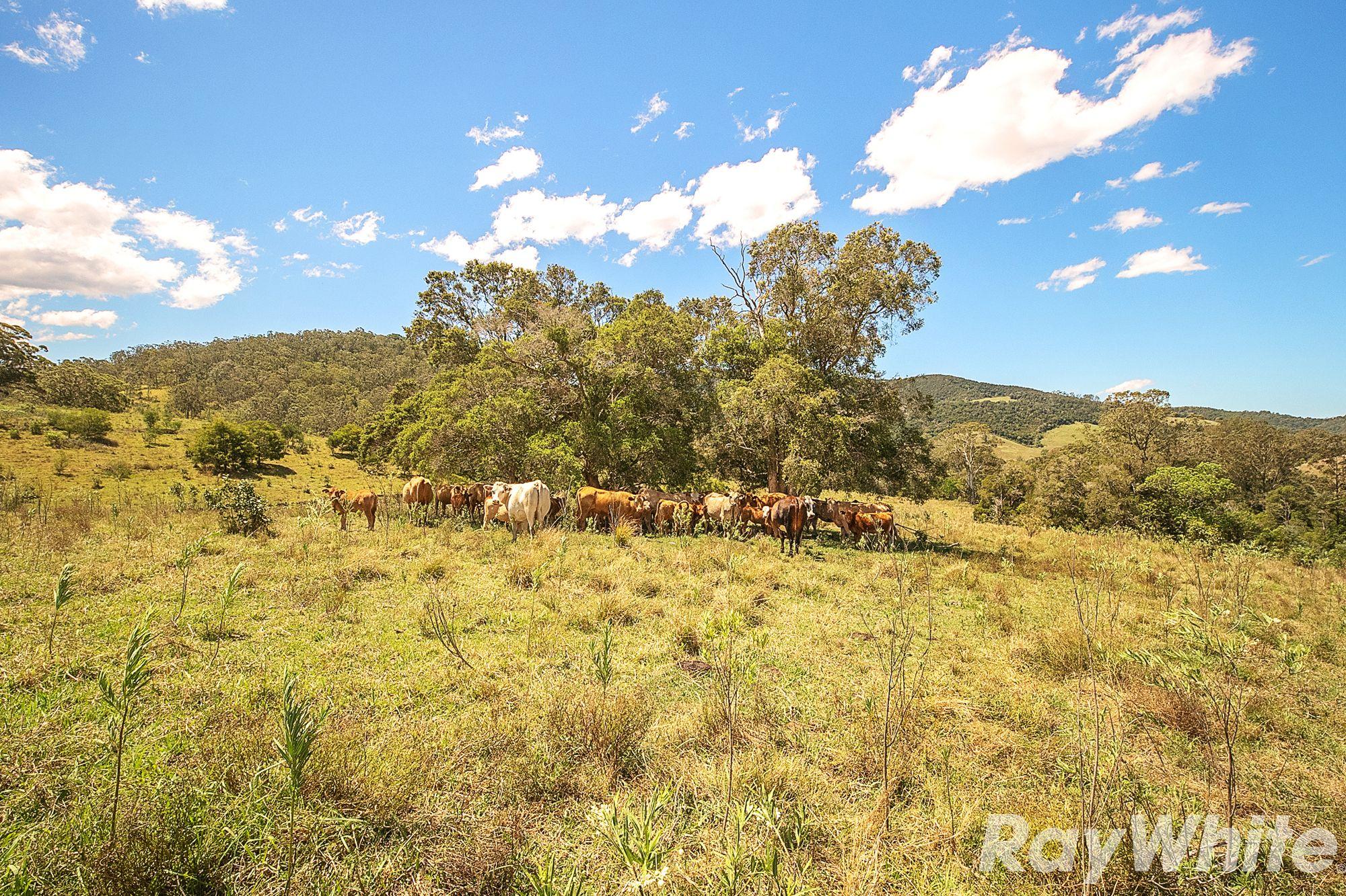 Where Mustering & Fishing are the Order of the Day