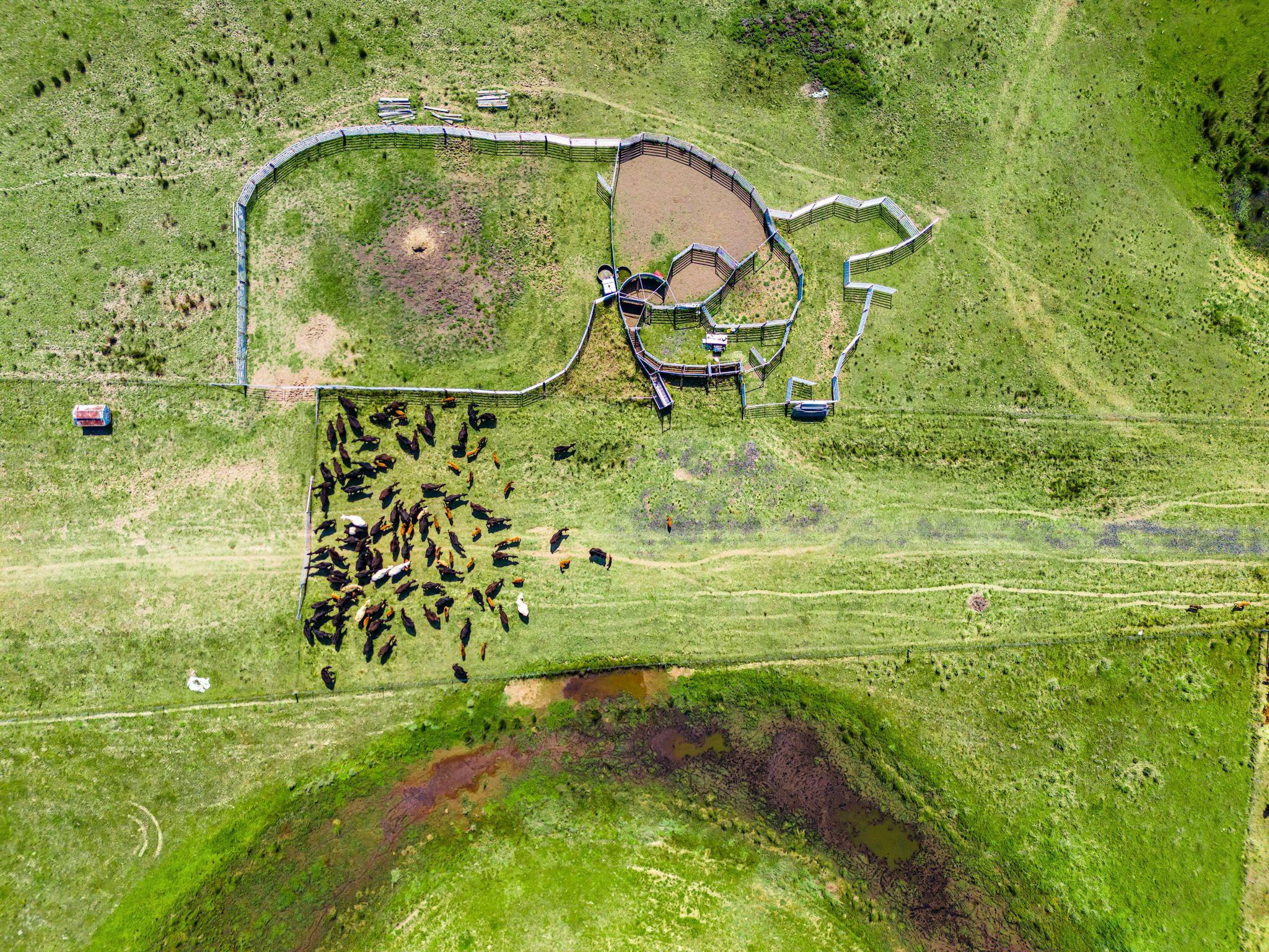 Large Grazing Property with Two Dwellings