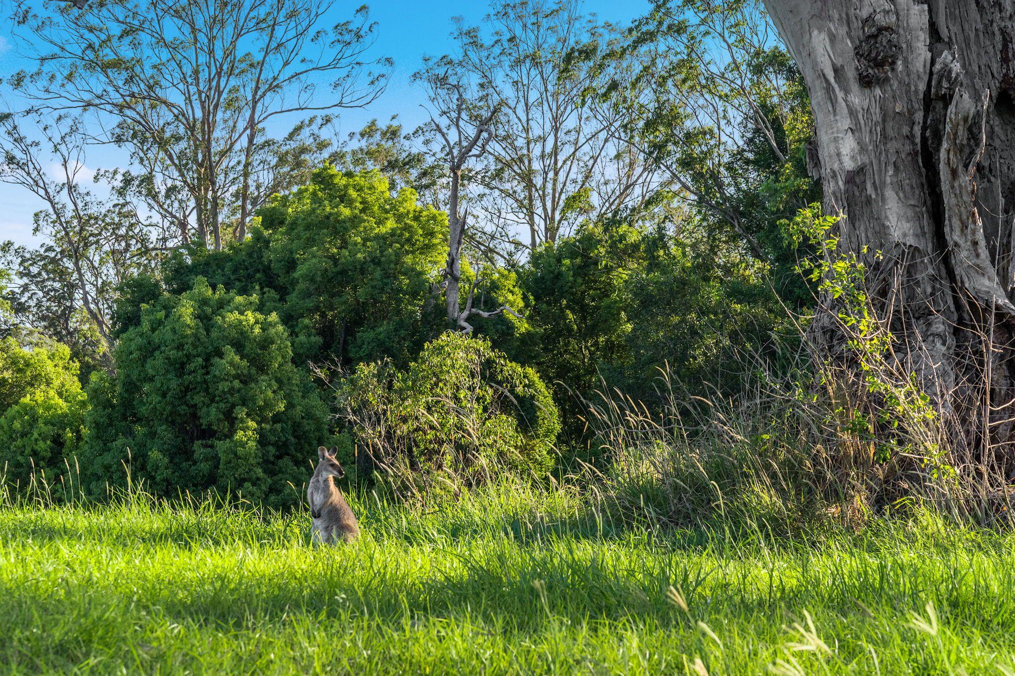 Large Grazing Property with Two Dwellings