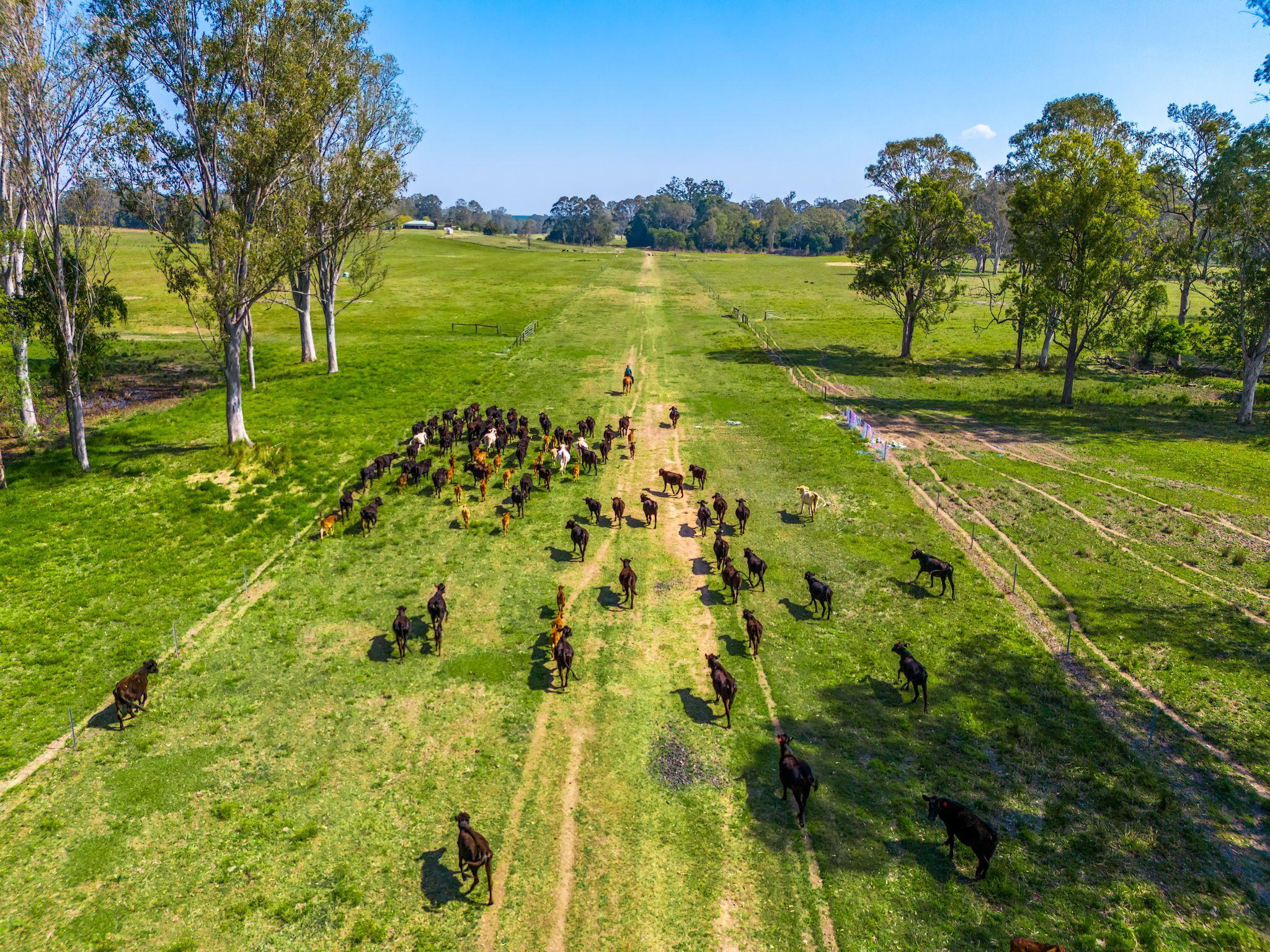 Large Grazing Property with Two Dwellings