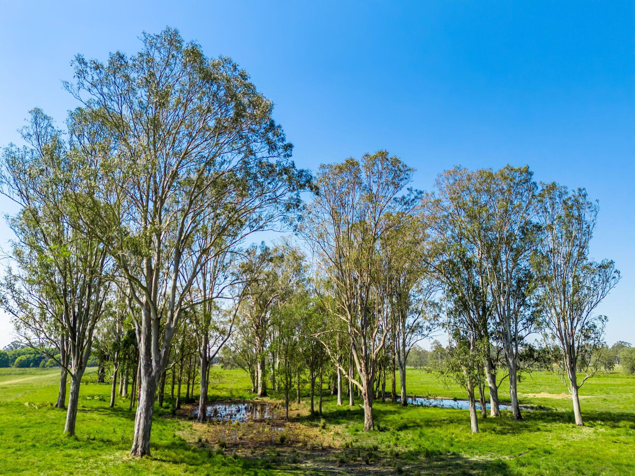 Large Grazing Property with Two Dwellings