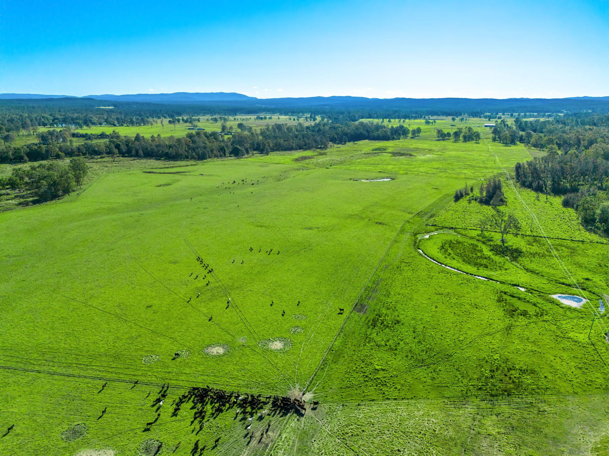 Large Grazing Property with Two Dwellings