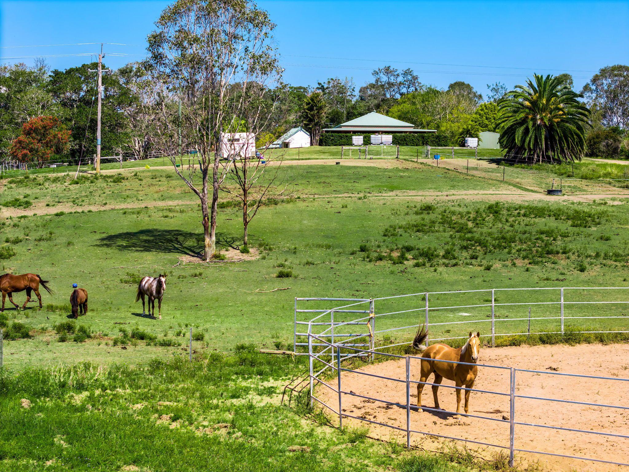 Large Grazing Property with Two Dwellings