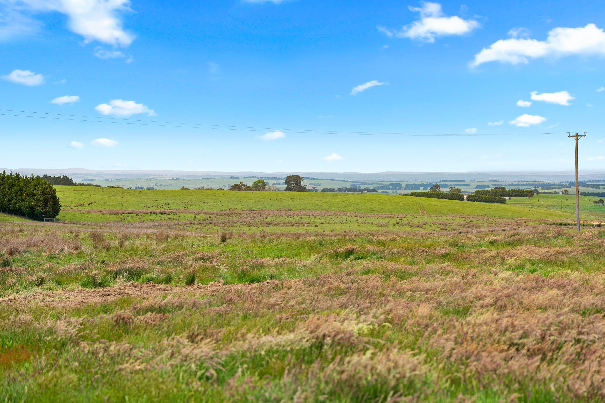 A Lifestyle Escape on 30 Acres