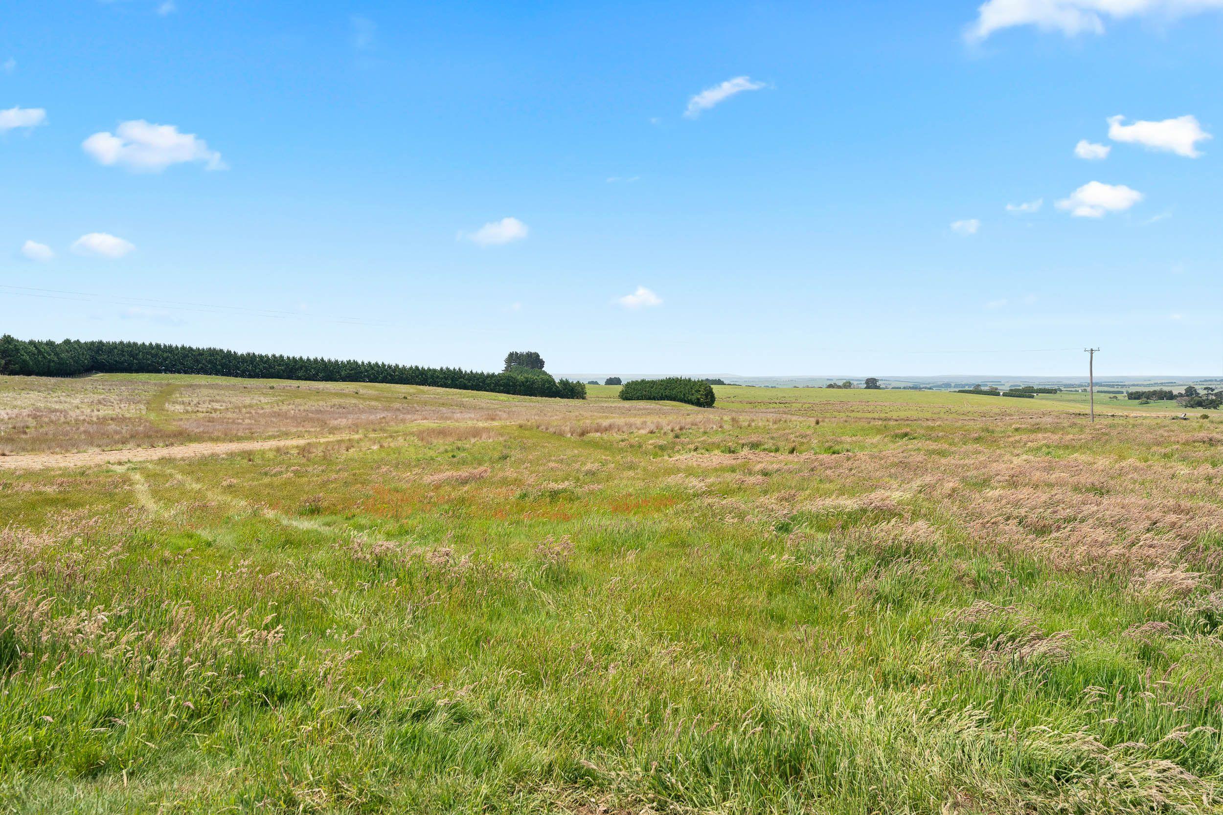 A Lifestyle Escape on 30 Acres