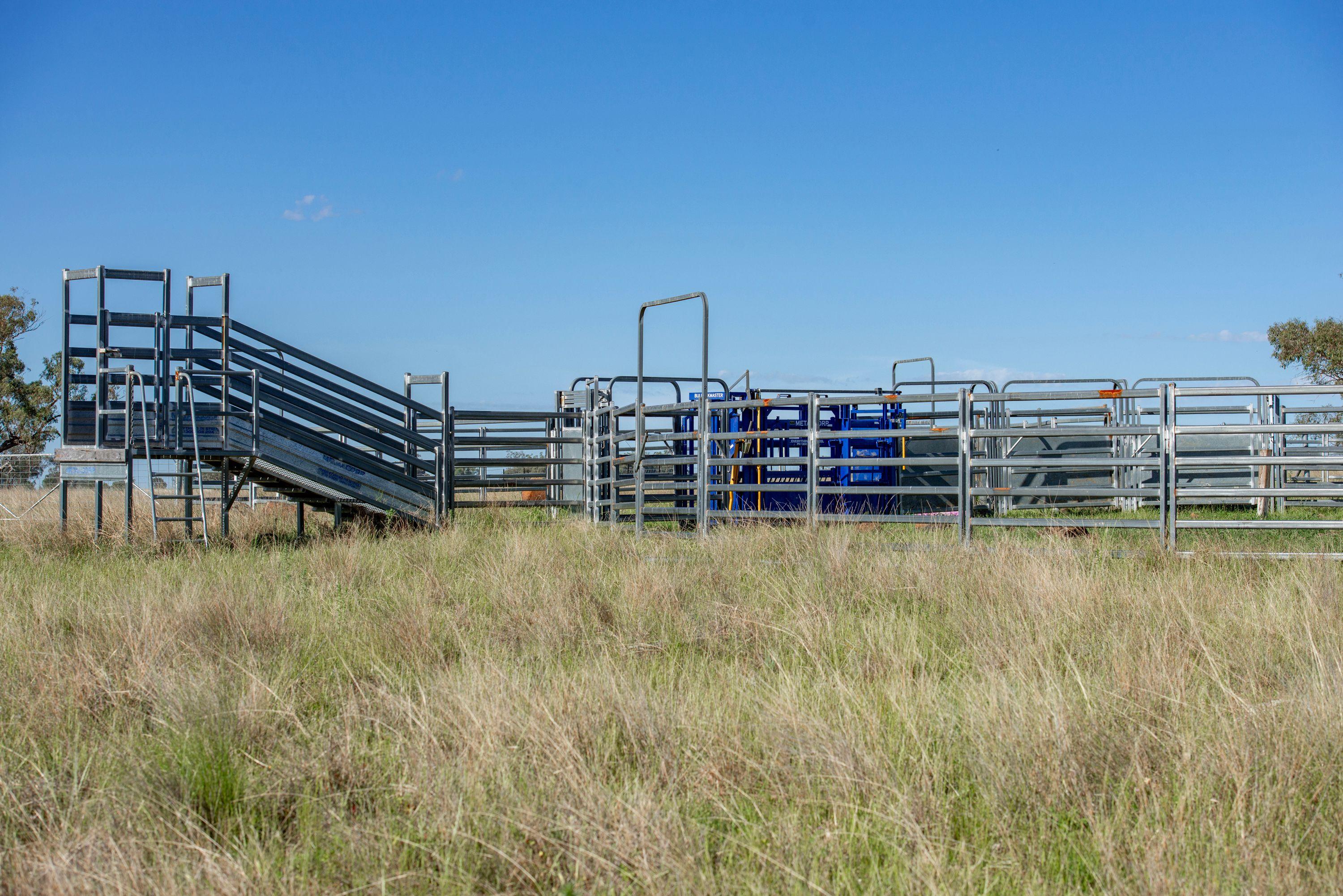 Executive Home on 500 acres Retirees Dream