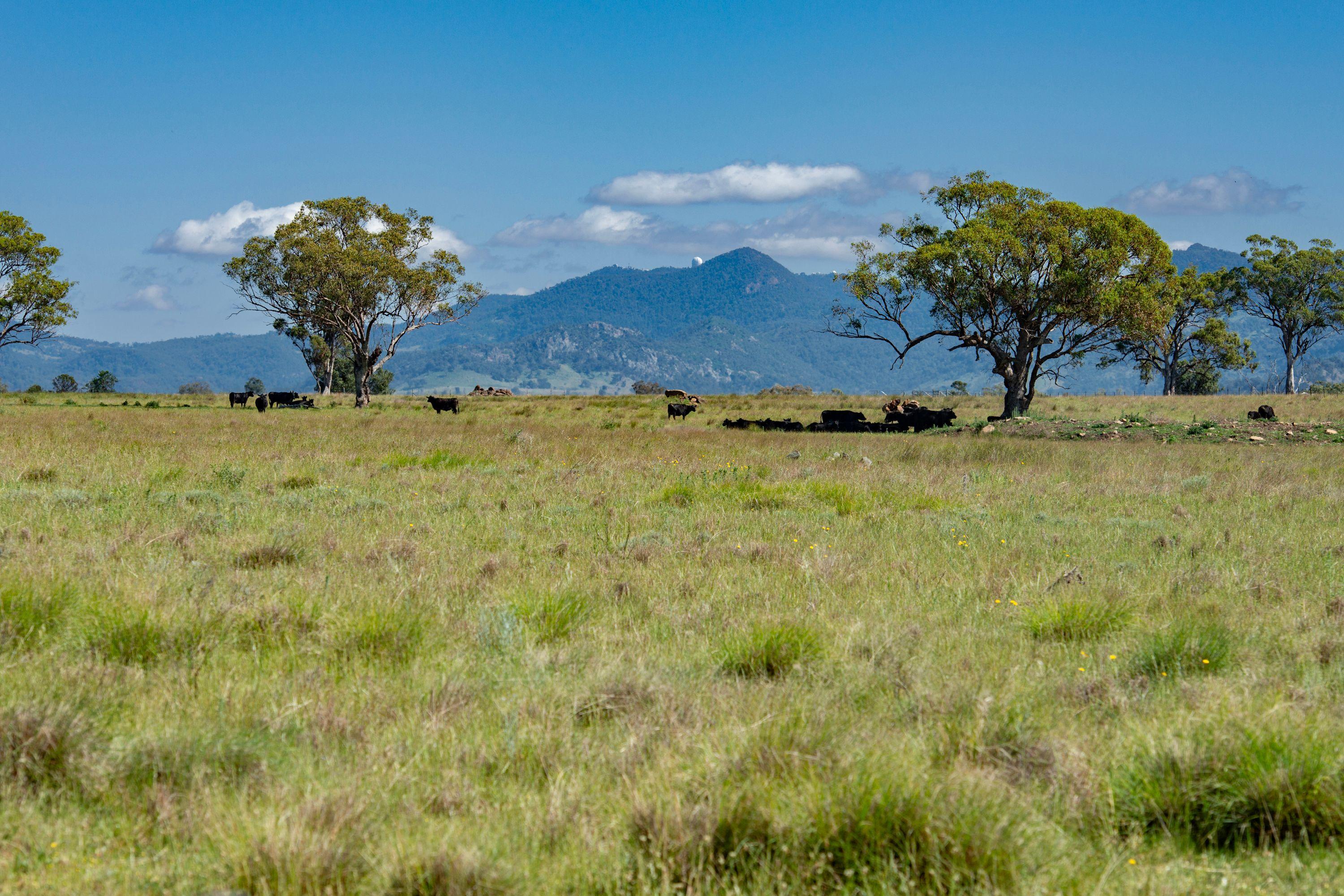 Executive Home on 500 acres Retirees Dream
