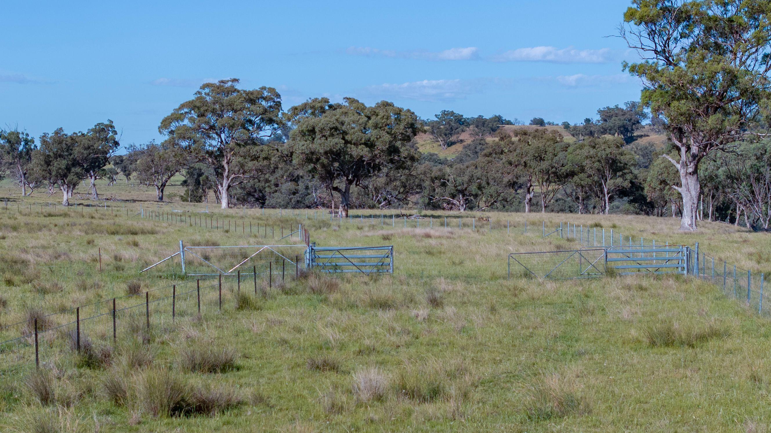 Executive Home on 500 acres Retirees Dream