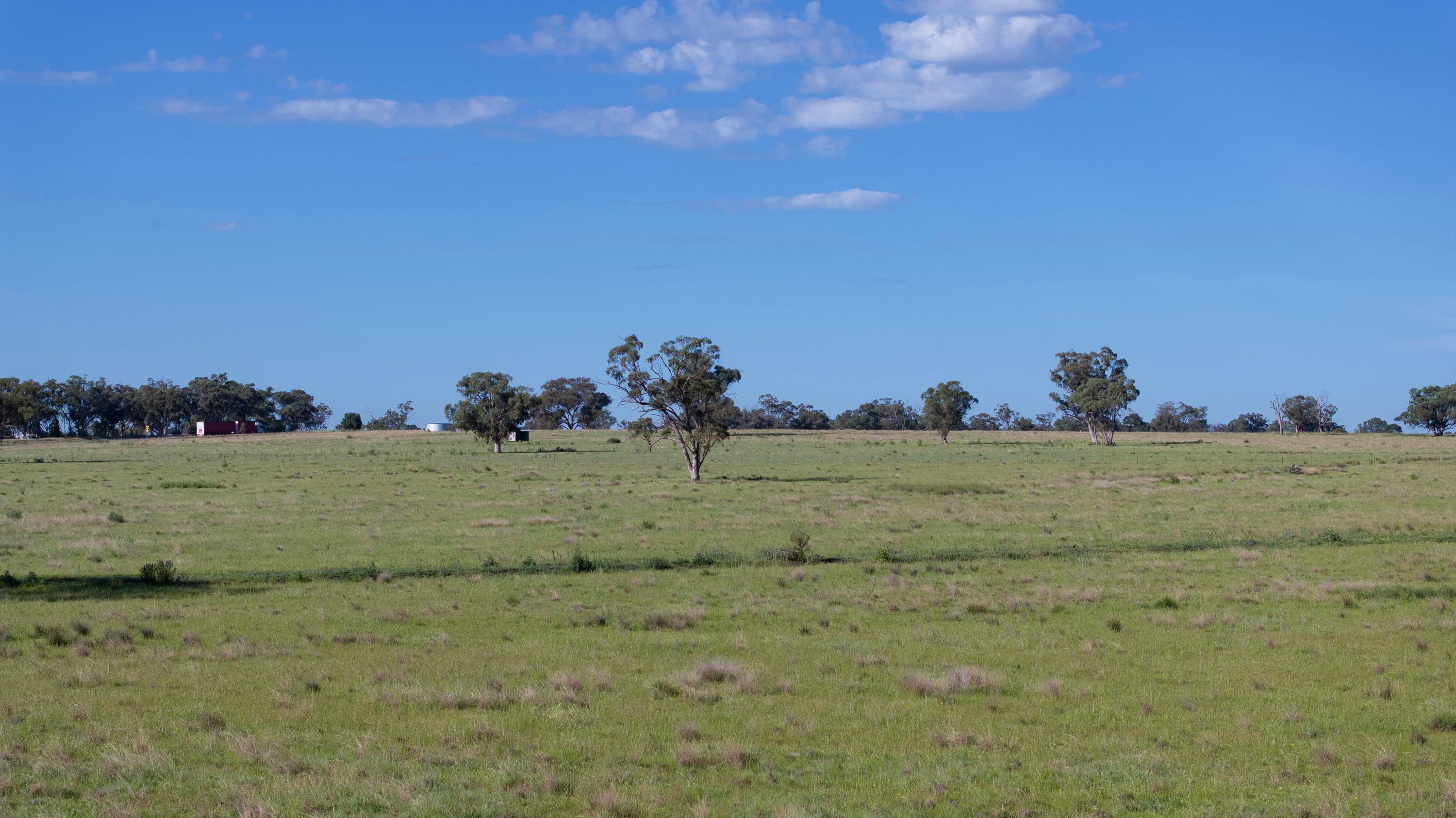 Executive Home on 500 acres Retirees Dream