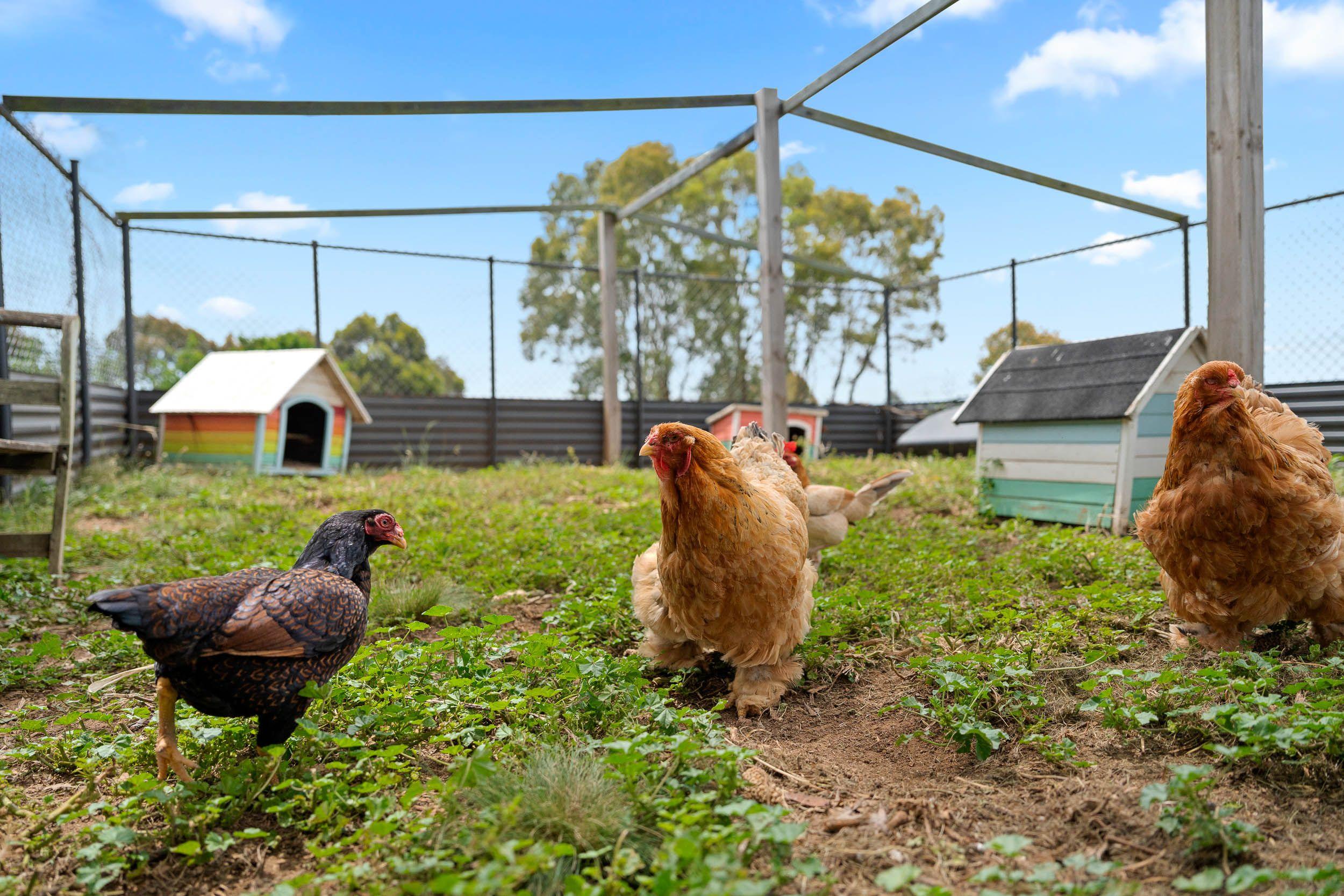 Charley Hill - Your Retreat with Endless Possibility