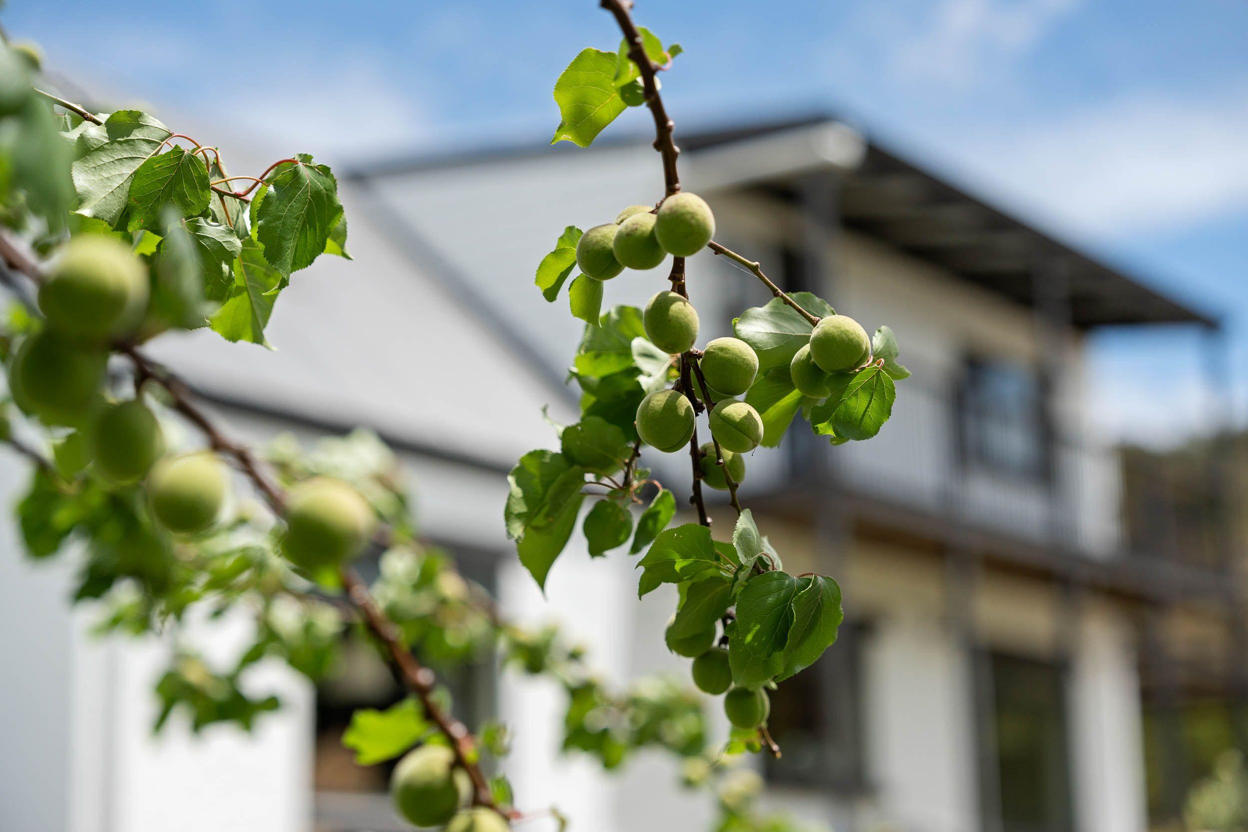 Charley Hill - Your Retreat with Endless Possibility