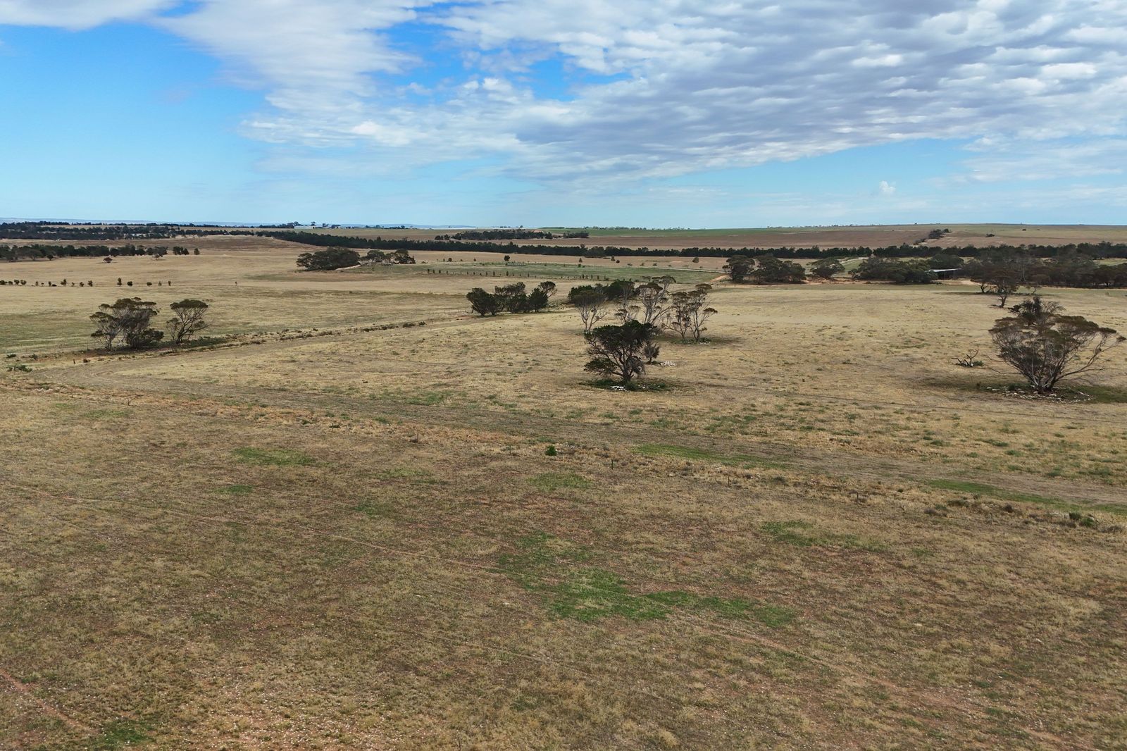 Space, Serenity & Sweeping Views - Discover Rural Life at Its Best