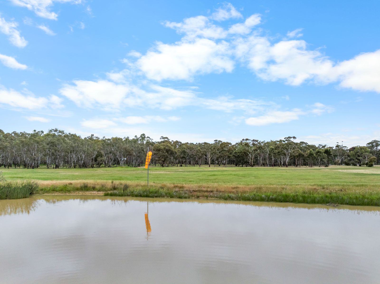 Endless Horizons on a Pristine 40 Acres