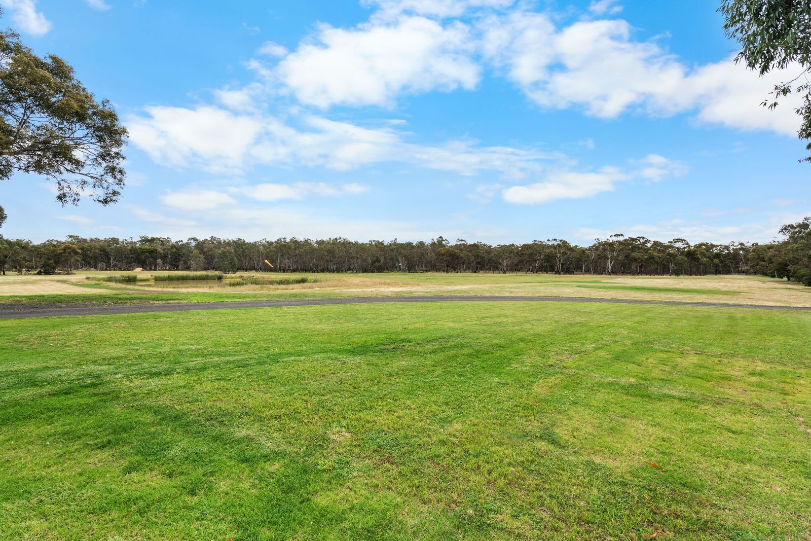 Endless Horizons on a Pristine 40 Acres