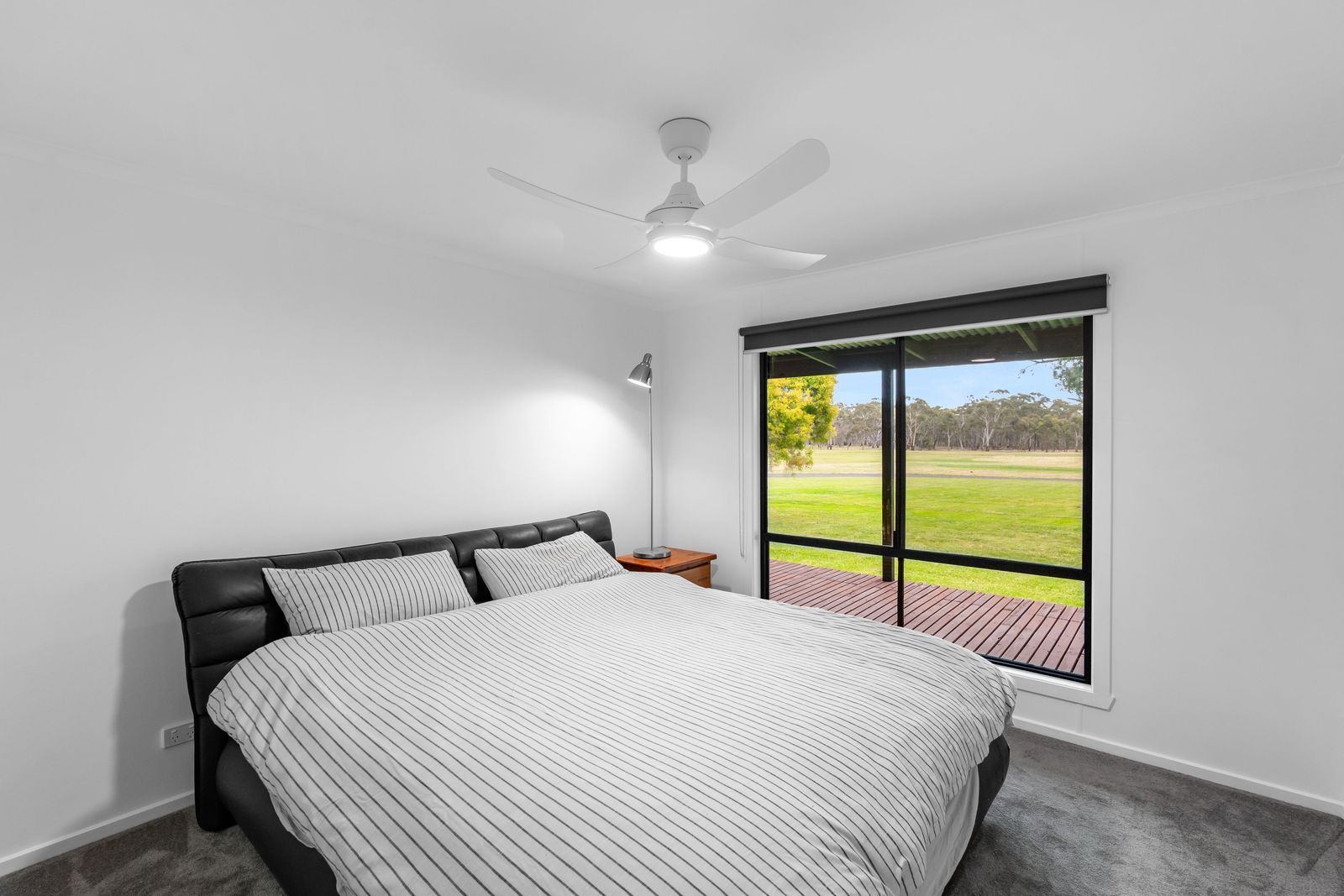 Endless Horizons on a Pristine 40 Acres