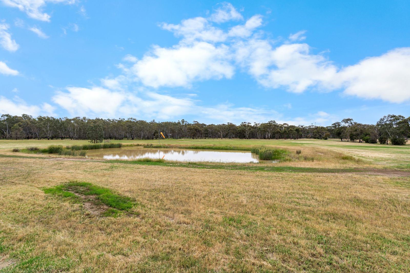 Endless Horizons on a Pristine 40 Acres