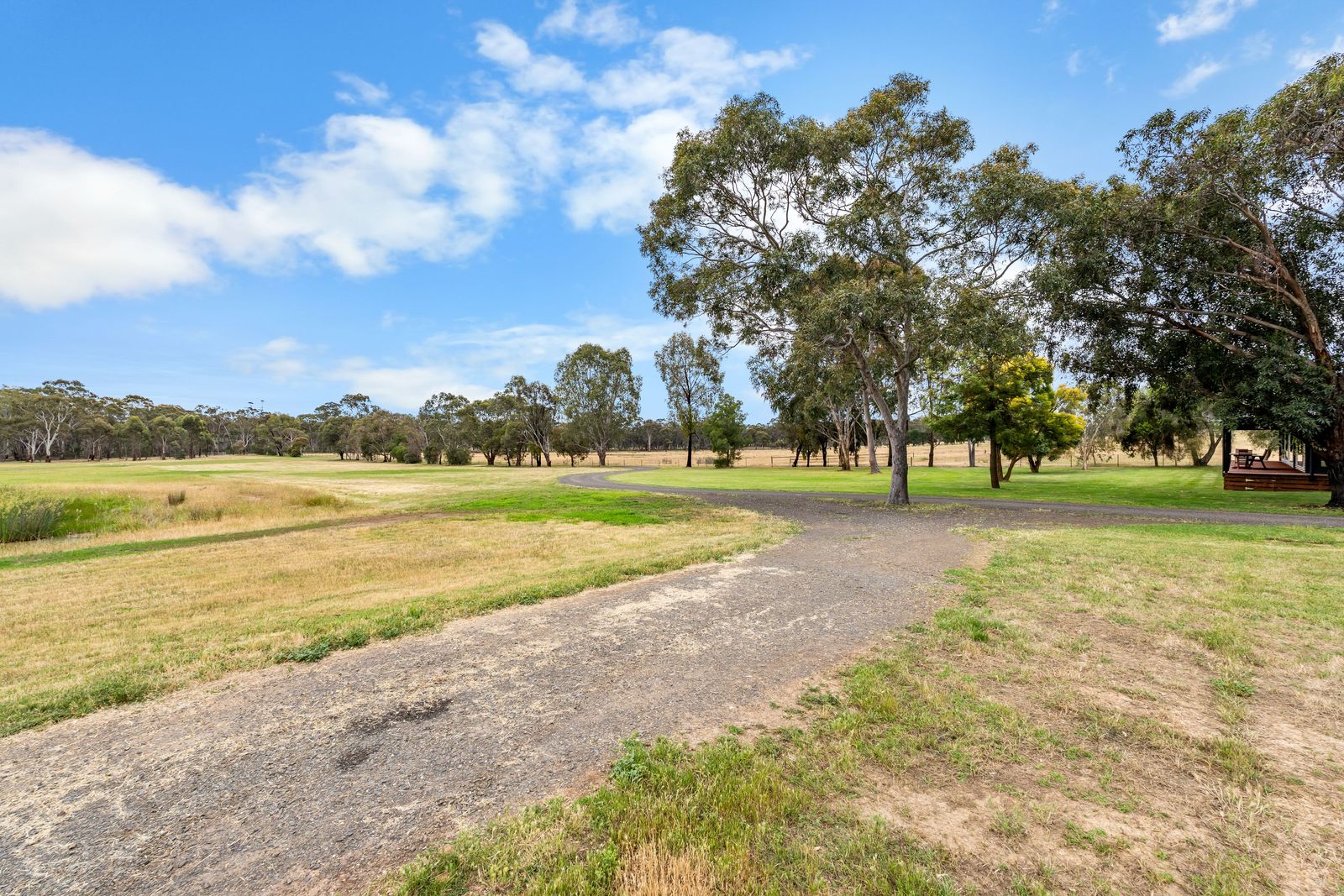 Endless Horizons on a Pristine 40 Acres