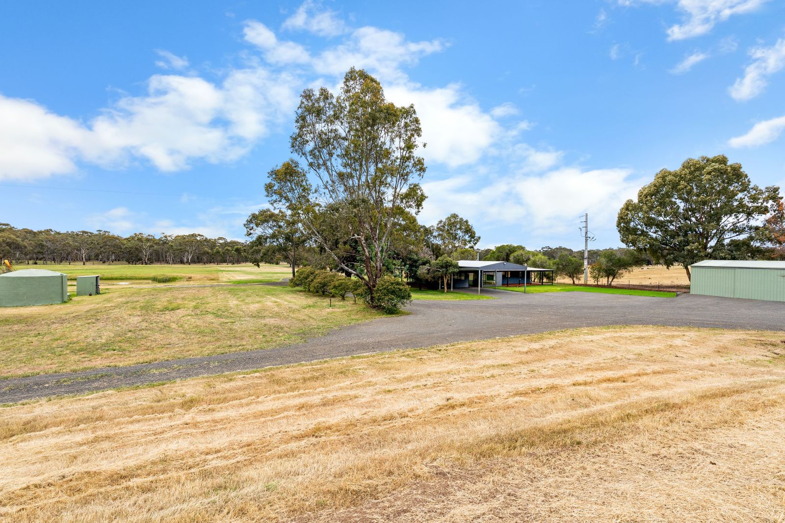 Endless Horizons on a Pristine 40 Acres