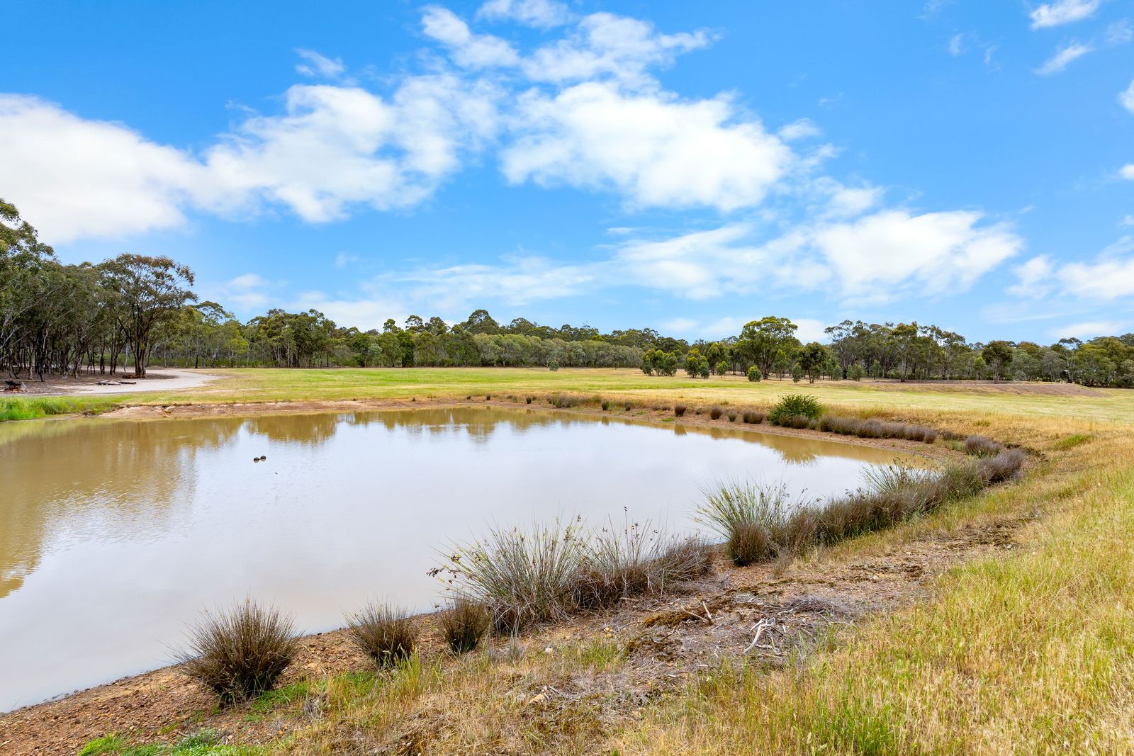 Endless Horizons on a Pristine 40 Acres