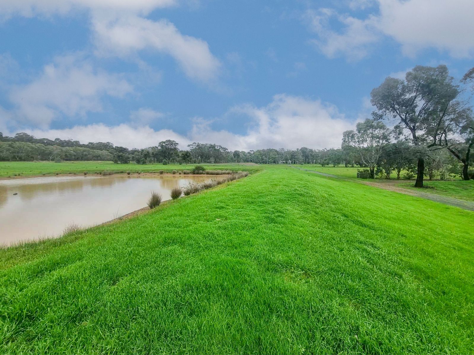 Endless Horizons on a Pristine 40 Acres