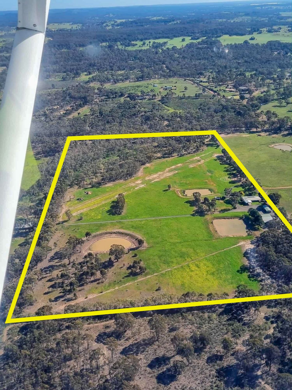 Endless Horizons on a Pristine 40 Acres