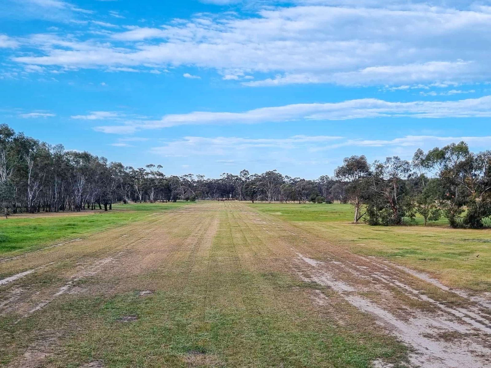 Endless Horizons on a Pristine 40 Acres