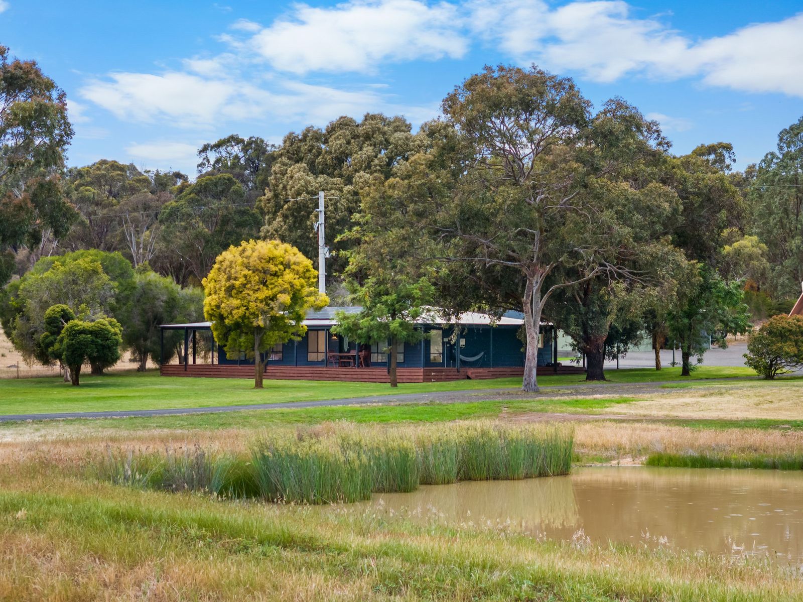 Endless Horizons on a Pristine 40 Acres