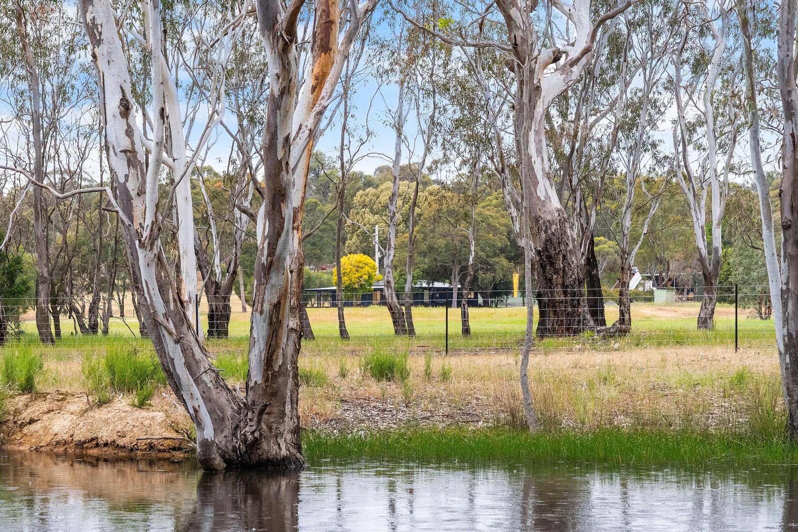 Endless Horizons on a Pristine 40 Acres