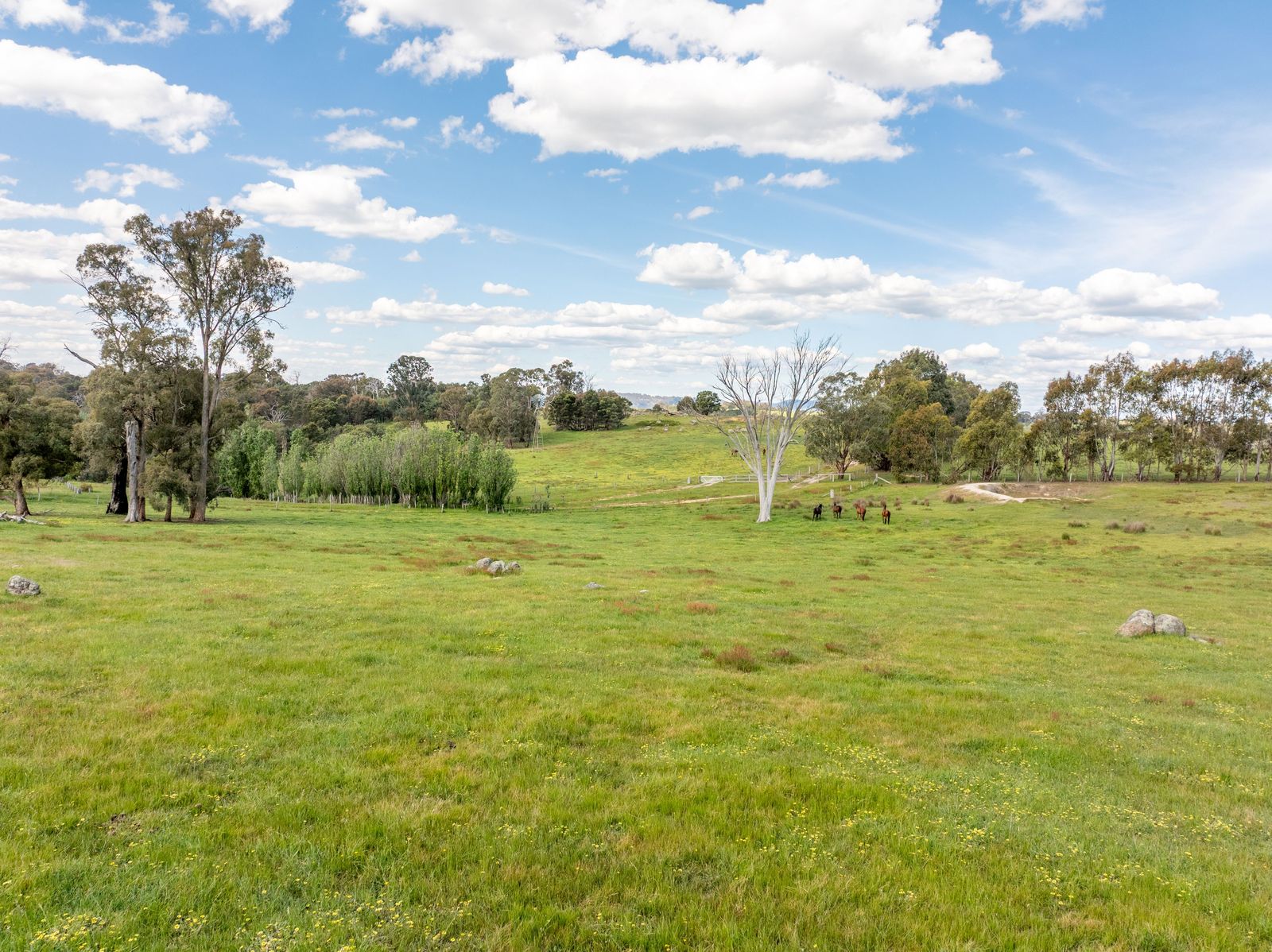 Rare Opportunity - Exceptional 83 Hectare Rural Estate