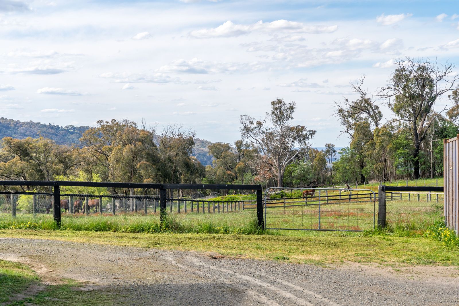 Rare Opportunity - Exceptional 83 Hectare Rural Estate