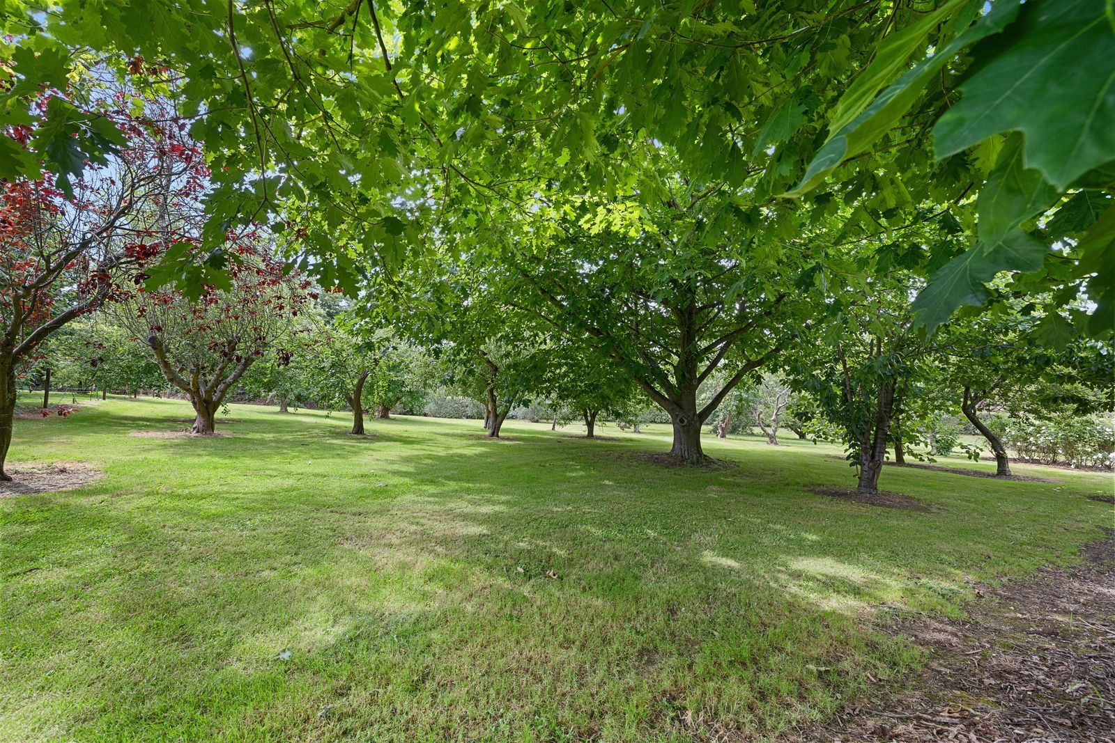 A breathtaking country retreat