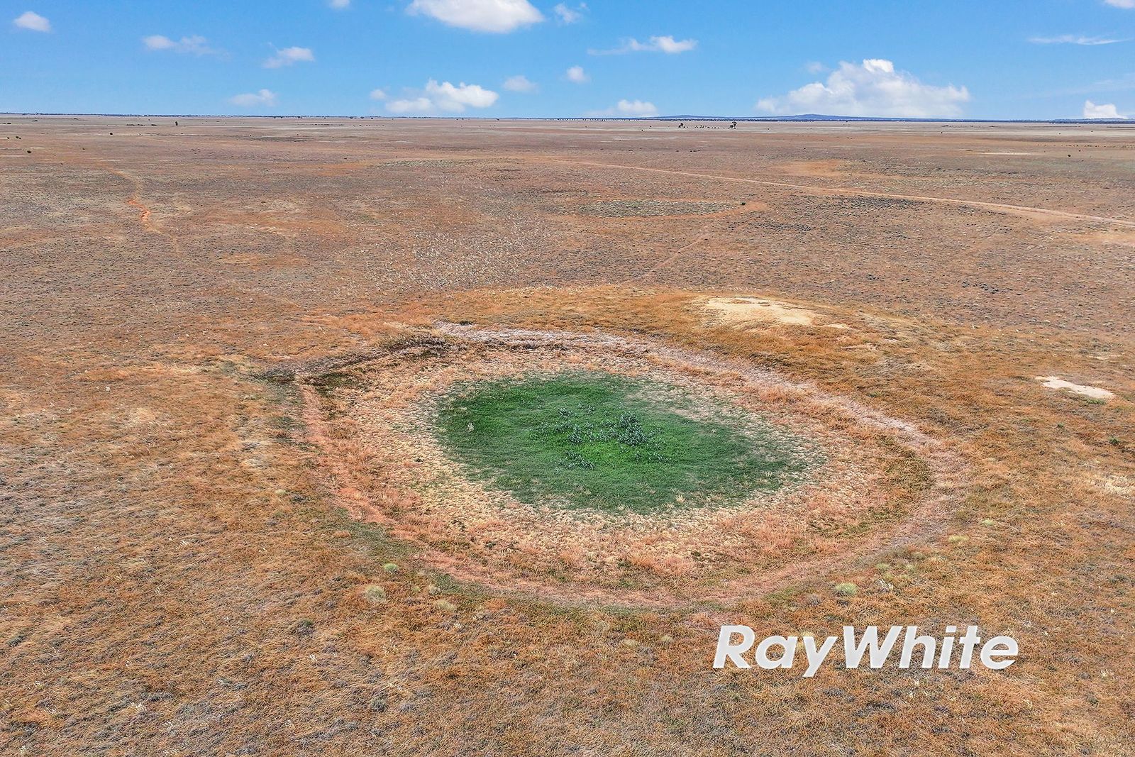 Upcoming Auction - 455 Acres (Approx.)