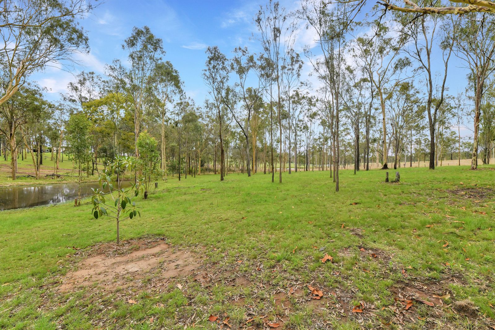 Escape to a Peaceful Acerage Retreat!