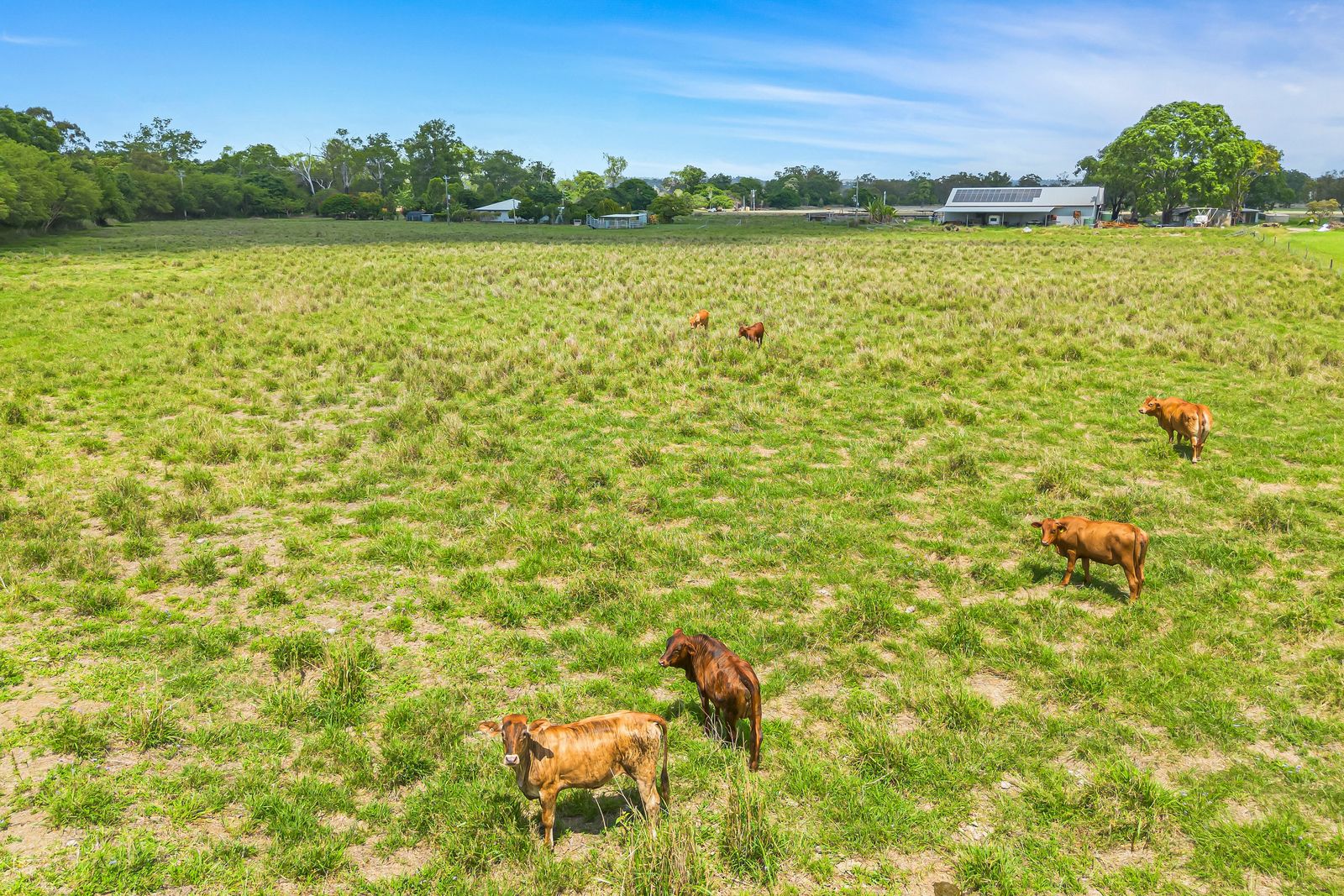 10 Acres* of Country Charm & Privacy in a Convenient Location