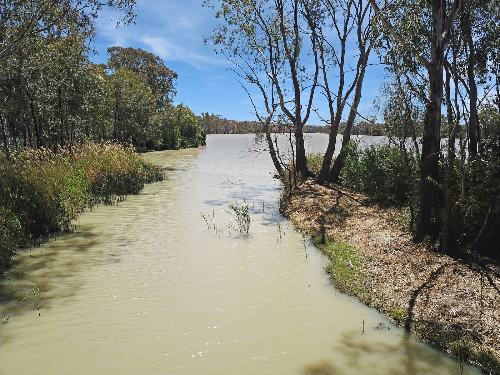 Unmatched Riverfront Freedom - 23 Acres of Pure Natural Beauty Other | SA Mcbean Pound, SA 5357 | Prop-GPT the AI-Powered Property Portal